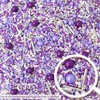 Sprinkle Pop Perfectly Purple Sprinkle Mix| Monochromatic Mix of Rich