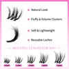 VEYESBEAUTY Lash Clusters Eyelashes Cluster Lashes Extensions 3D Layered Lash