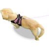 Copatchy No Pull Reflective Adjustable Dog Harness with Handle (Medium,