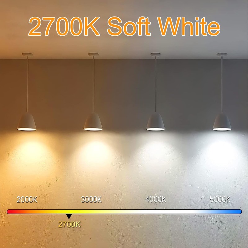 NOVELUX 5 Inch Edison Bulb, 2700K Soft White E26 Led