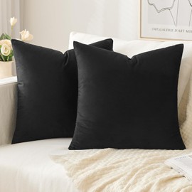 Slozzi Set of 2 Velvet Cushion Covers, Household Decorative Cushion Cover, Soft Sofa Cushion for Sofa, Bedroom, Living Room, 40 x 40 cm, Black