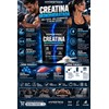Creatina Monohidratada Usp 500g Micronizada Sin Sabor 100tom