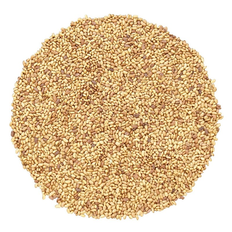 Alfalfa Sprouting Seeds, 10 Pounds - Kosher, Bulk