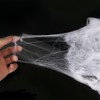 Stretchable Spider Web Halloween Decorations with Fake Spiders – Spooky