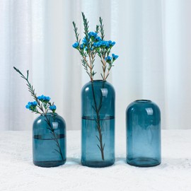 BlogBlog Glass Bud Vases for Flowers - Small Glass Vases for Fordecoration, Bulk Flower Vase for Living Room Dining Table Wedding Party Events Home Decor Floral Arrangements (Sky Blue, 3pcs)