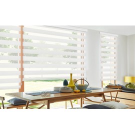 Allbright White Zebra Window Blinds 20" W × 64" H for Home Office, Dual Layer Roller Shade Room Darkening Shade Roll Up and Pull Down Blinds, Light Filtering Window Shades, Easy to Install