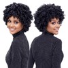 Harlem125 Synthetic Hair Braids Kima KimaKalon 10" (5-Pack Small, T1B/30)