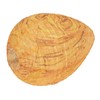 8 Pack Wasp Nest Decoy Effective Deterrence Hanging Fake Wasp