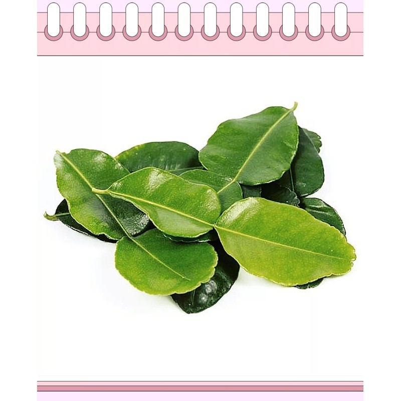 Fresh 1x Pack Of Organic Fresh Kaffir (Thai) Lime Leaves