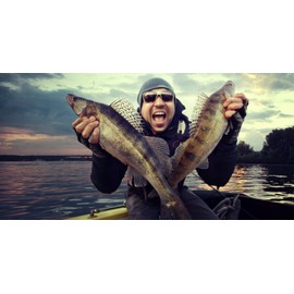 D-A-M Shadow Tele 40 Fishing Rod - Professional Telescopic Rod for Spin Fishing (3.00 m)