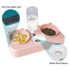 Cat Food Bowl, Cat Food and Water Bowl Set, Automatic