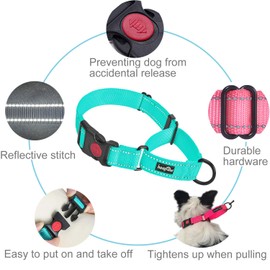 haapaw Martingale Dog Collar with Quick Release Buckle Reflective Dog Training Collars for Small Medium Large Dogs