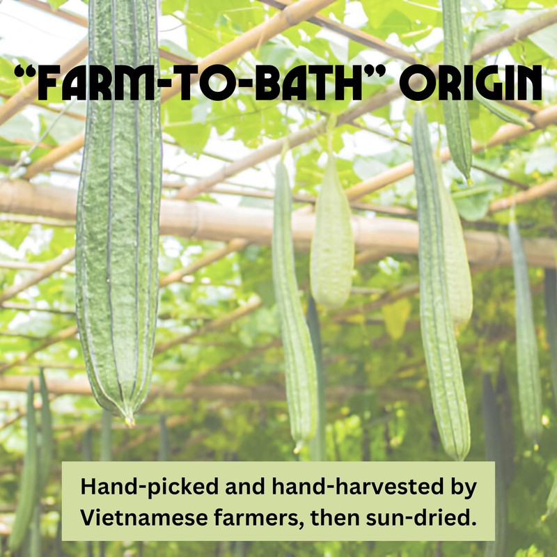 Birdee 100% Plant-Based Loofah Body Wash Sponge - Natural Luffa