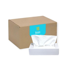 DE Healthcare Products Facial Tissues (1000 Pieces) 2 Ply Tissues in White Box Soft Tissue Tissues 10 Boxes x 100 Wipes