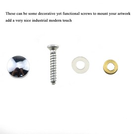 Hahiyo 10mm Diameter Mirror Screws Brushed Stainless Steel Solid Easy Install Brass Washer Decorative Caps Fasteners Nails Silver 20 Pairs for Bathroom Mirrors Panels Kitchen Ceiling Arts Crafts