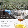 【 国産 無農薬 えごま 荏胡麻屋 】 荏胡麻 オイルカプセル 1袋15日分(4粒／日)｜60粒／袋 オメガ3