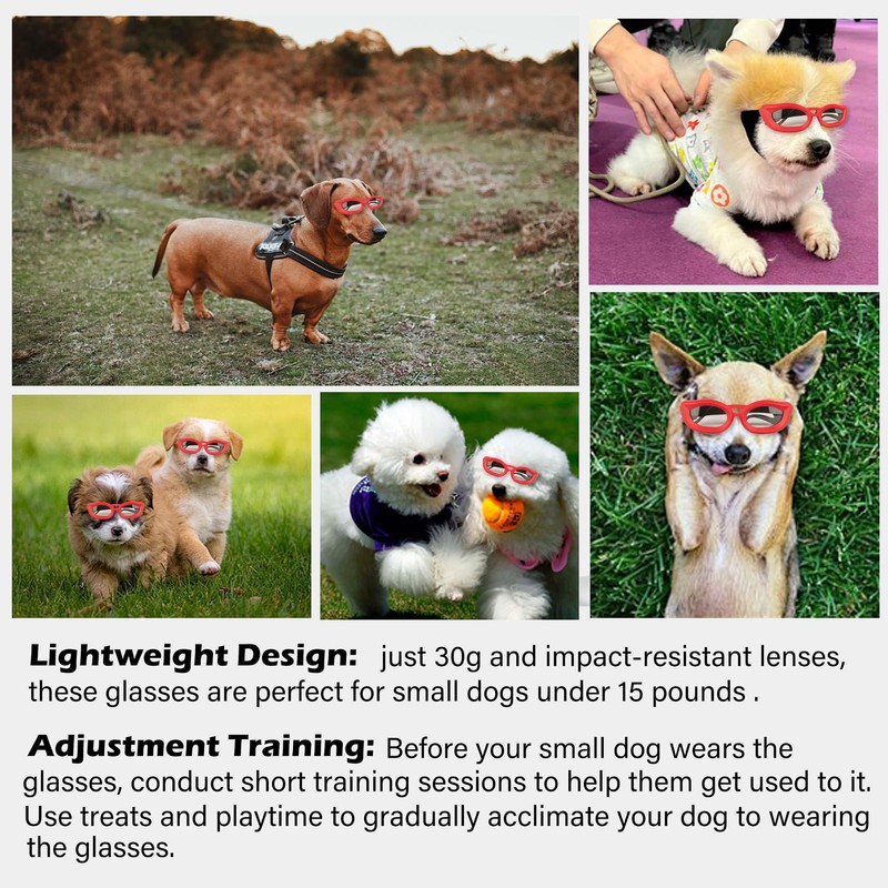 Dog Goggles Small Breed, UV/Wind/Dust/Fog Protection Pet Sunglasses with Adjustable