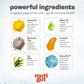 MuttGut® Dog Allergy and Immune Chews - Itch Relief for Dogs with Skin & Coat Support - Allergy Relief for Dogs Itching & Licking - Pet Allergy Chews for Seasonal Allergies - 60 Soft Chews