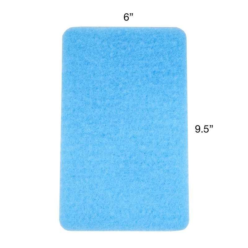 Bugs Out Bug Removing Sponge (6 Pack) with Concentrated Car