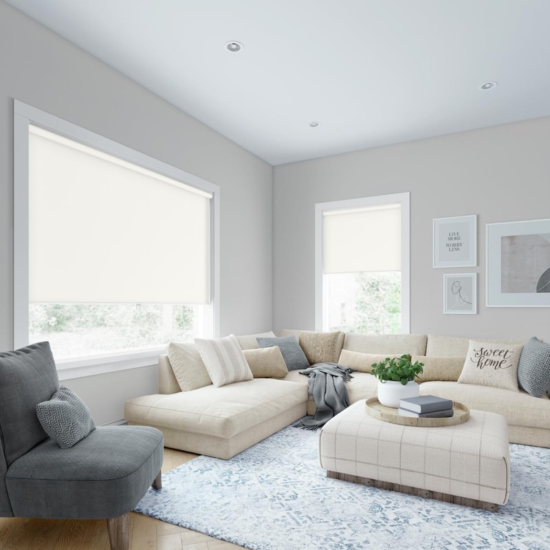 LEVOLOR Basics Cordless Fabric Roller Shade, Easy to Install Blackout