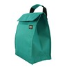 Ensign Peak Basic Lunch Sack (Teal)