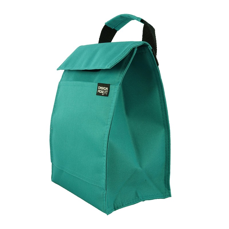 Ensign Peak Basic Lunch Sack (Teal)