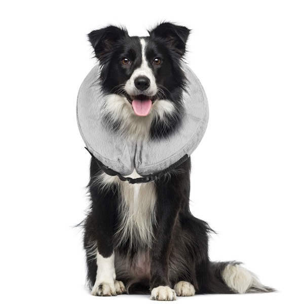 Protective Inflatable Collar for Dogs and Cats, Soft Pet Recovery