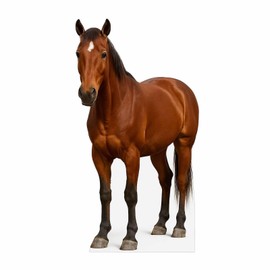 Horse 3FT Life Size Cardboard Cutout – A Fun Animal Standup for Photo Booths, Birthday Parties, and Events