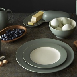 Noritake 4-Piece Colorwave Rim Place Setting, Green