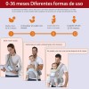 Portabebés Ergonómico 0-24 Meses -ajustable Versátil