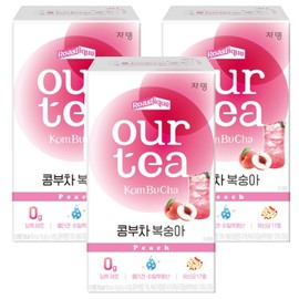 아워티 콤부차 복숭아 Our Tea Kombucha Peach
