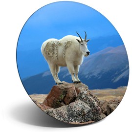 Destination Vinyl ltd Magnet for Refrigerator, Fridge - Cute Beautiful Mountain Goat for Office, Cabinet and Whiteboard, Magnetic Stickers, 12619