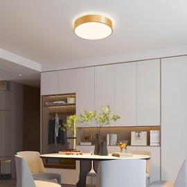 Vikaey Gold LED Ceiling Light, Modern Flush Mount Ceiling Light Fixture, Minimalist Round Metal Lighting Fixture Ceiling Lamp for Living Room, Entryway, Bedroom, Kitchen, 15.74 Inch