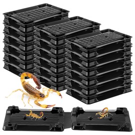 Qualirey 18 Pack Scorpion Glue Tray Traps, Adhesive Scorpion Killer Indoor, Pet and Children Safe, Repellent, Insect Traps Indoor, Sticky Bug Catcher for Basement, Bathrooms and Garage