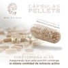 Pellets de Melena de León, Cordyceps, Cola de Pavo, Shiitake