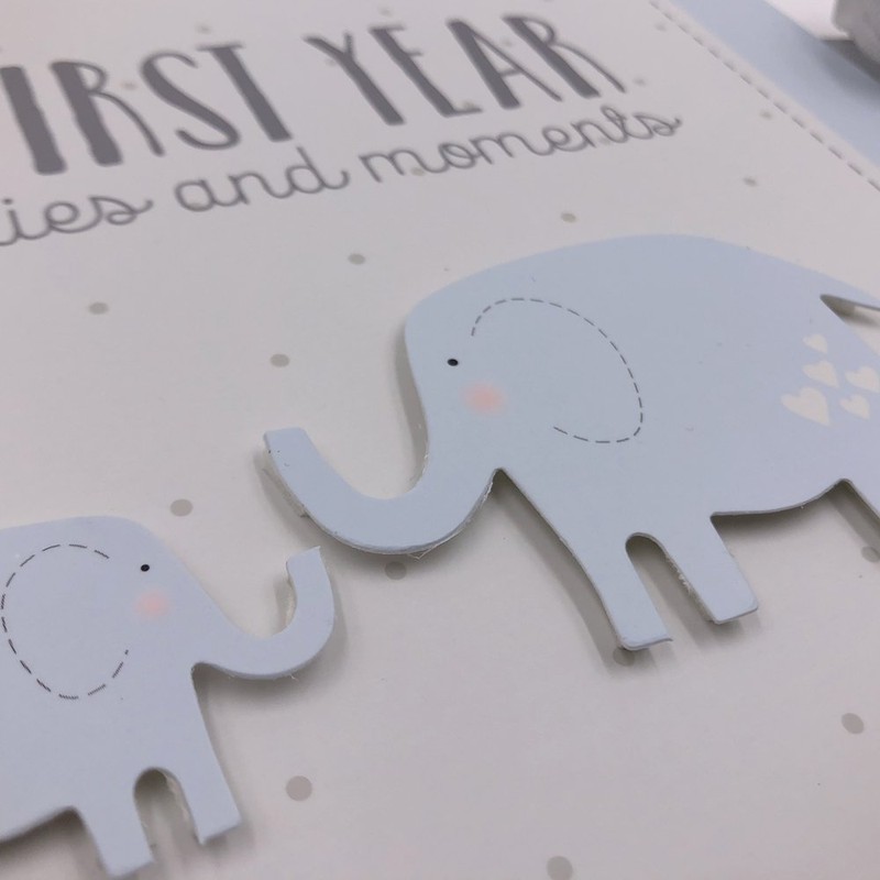 ukgiftstoreonline Baby Boy My First Year Keepsake Record Book (No