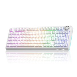 SOLAKAKA KI99 Pro 96% Wireless Mechanical Keyboard, RGB Gaming Keyboard, Hot-Swappable Pre-Lubed Switches, Gasket Structure Creamy Keyboards for Gamer/PC/Laptop (White)