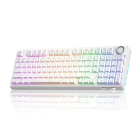 SOLAKAKA KI99 Pro 96% Wireless Mechanical Keyboard, RGB Gaming Keyboard, Hot-Swappable Pre-Lubed Switches, Gasket Structure Creamy Keyboards for Gamer/PC/Laptop (White)