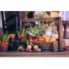 30 Assorted Packages of Vegetable Seeds, 15+ Varieties, All Seeds
