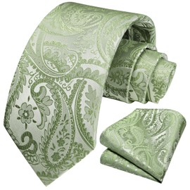 HISDERN Green Ties for Men Formal Paisley Mens Ties and Pocket Square Set Sage Green Silk Necktie Handkerchief for Wedding Business School Party