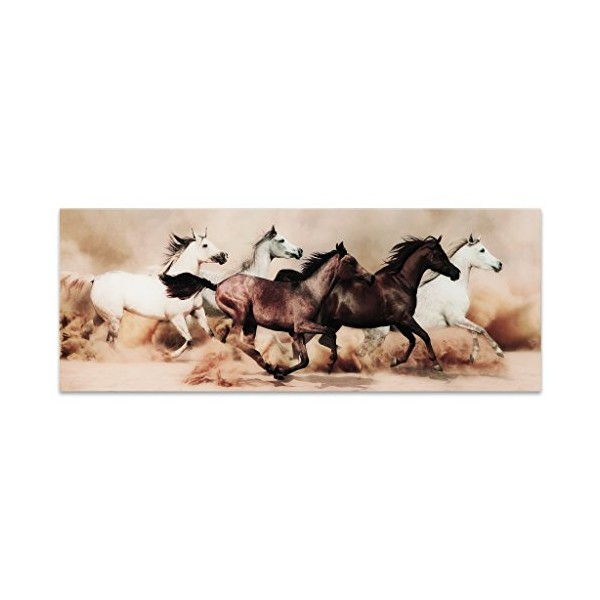 Empire Art Direct Wild Horses Stampede Frameless Tempered Glass Panel Graphic Wall Art, 63" x 24" x 0.2", Ready to Hang