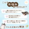 Momonga Carry Hamster Momonga Pouch, Going out, Shoulder Chipmunk, Walk