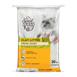 (2 pack) Special Kitty Non-Clumping Clay Fresh Scent Litter,99% Dust Free,20 lb