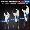 Rizom Vice Grips Pliers Set, 6-Piece Locking Pliers Set, 6-1/2”,