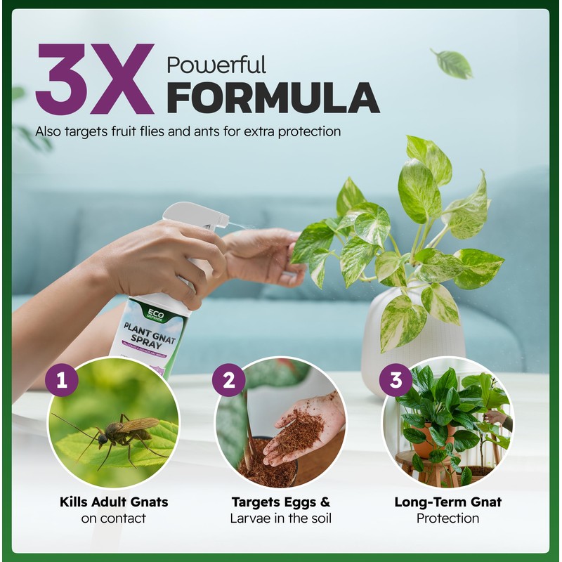 Eco Defense Gnat Spray for Indoor Plants – Fungus Gnat