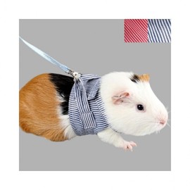 LuminaD Striped Small Animal Hamster Rabbit Leash Harness Select/Red L