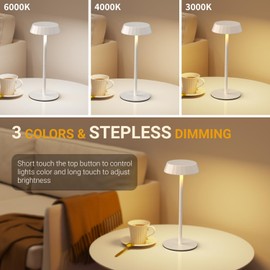 EppieBasic Rechargeable Table Lamps Cordless: Set of 2 Battery Operated Portable & 2700K Warm Light Metal Lamps for Living Room, Dining, Entryway