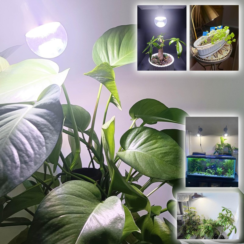 Candelabra LED Plant Grow Light Bulbs E12 Indoor Plants Full