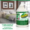 OdoBan Professional Disinfectant and Odor Eliminator Concentrate, Made in the