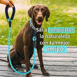 Wolfi Set de 2 Correas para Perro de 1.5 M con Mango Acolchado y Costuras Reflejantes para Perros, Incluye dispensador de Bolsas para excremento de Perro y Plato Plegable (Negro y Azul)